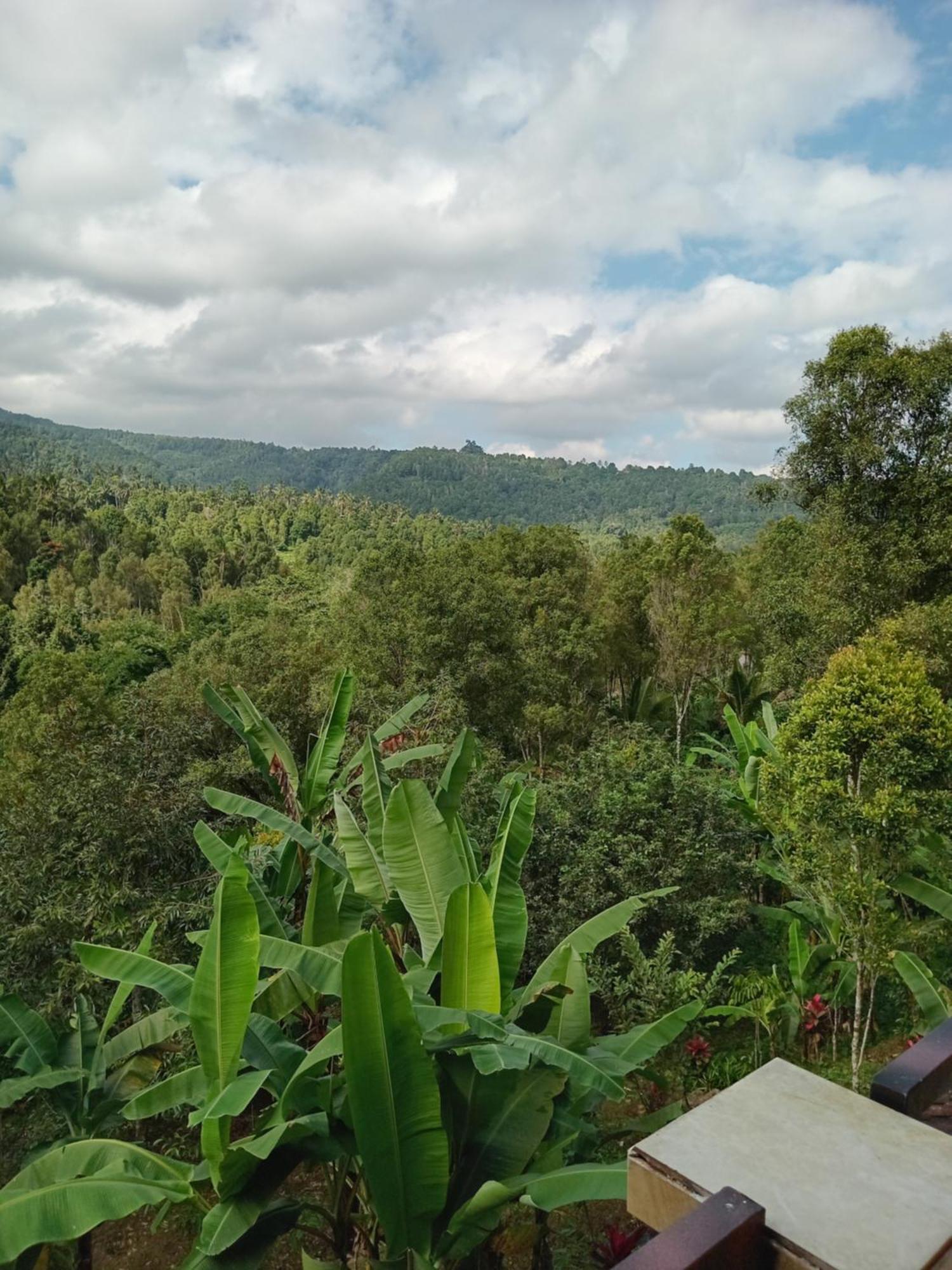Kanaya Homestay & Warung Heaven Munduk Εξωτερικό φωτογραφία