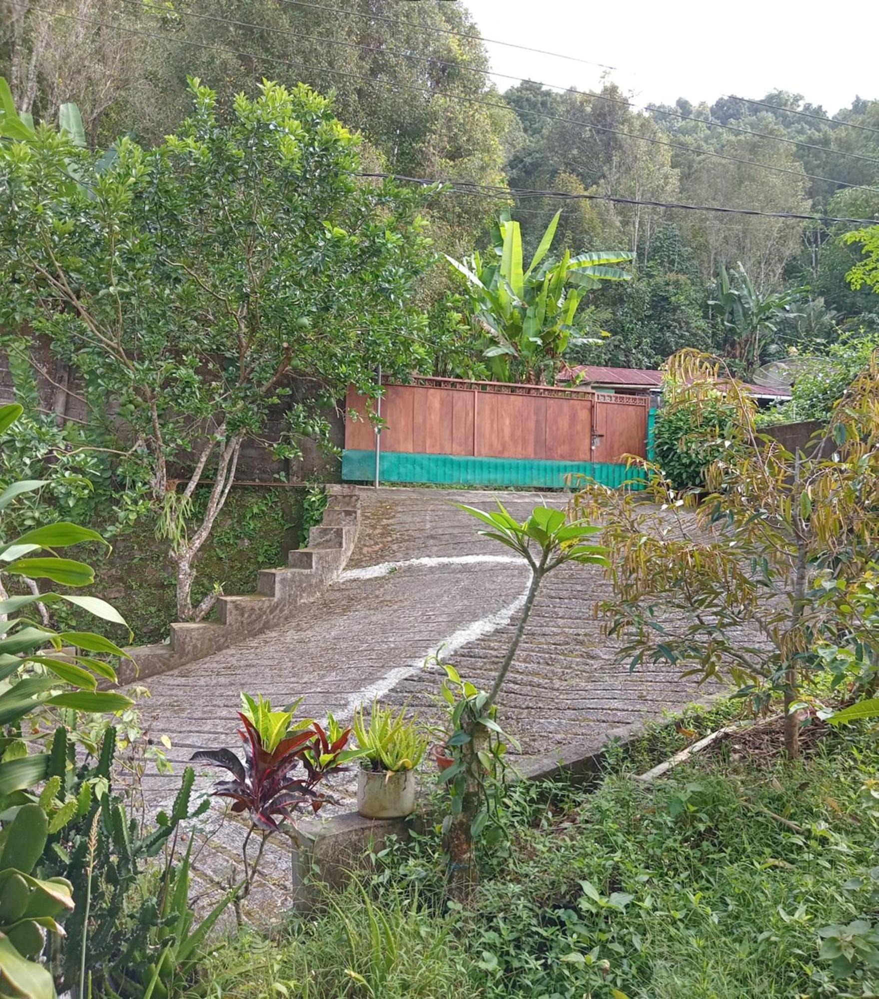Kanaya Homestay & Warung Heaven Munduk Εξωτερικό φωτογραφία